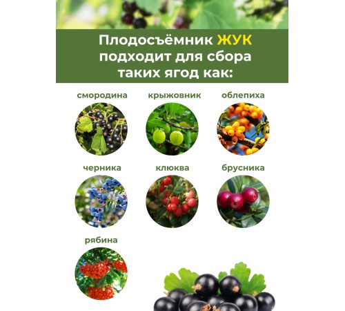 Плодосъёмник ягодный пластиковый с заслонкой Цикл