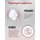 Электронный тренажер осанки iStatus
