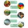 Капельный полив ЖУК 60 растений, от емкости, с таймером (автомат)