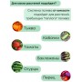 Капельный полив ЖУК 60 растений, от емкости, с таймером (автомат)