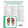 Магнитные стельки массажные Biomag, размер 39-42