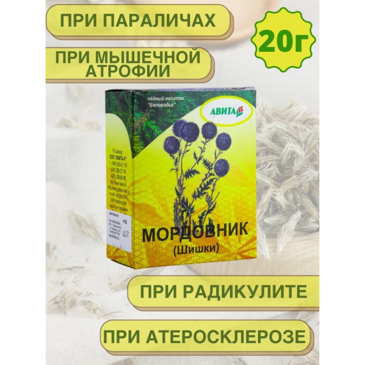 Мордовник Шишки "Авита" 20 г при эпилепсии, инфарктов, инсульта, атеросклероза
