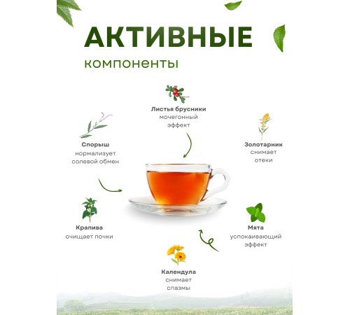 Фиточай Нефрон для почек (чай почечный) 20 пак. по 1,5 гр.