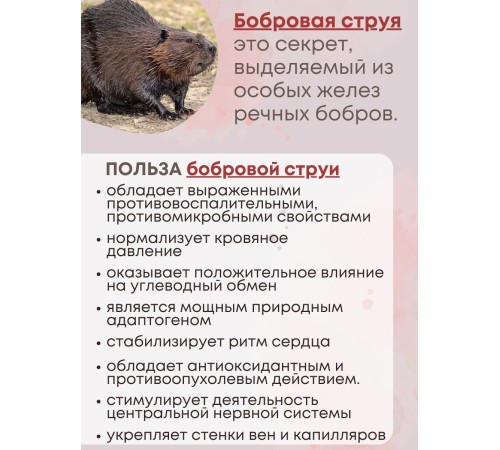 Свечи с Бобровой струей (кастореум) 10 шт. Свечи с Бобровой струей (кастореум) 10 шт.