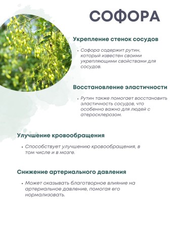 БАД Фитокомплекс "Софора + Витамины для сосудов" 30 капс. х 0,2 г