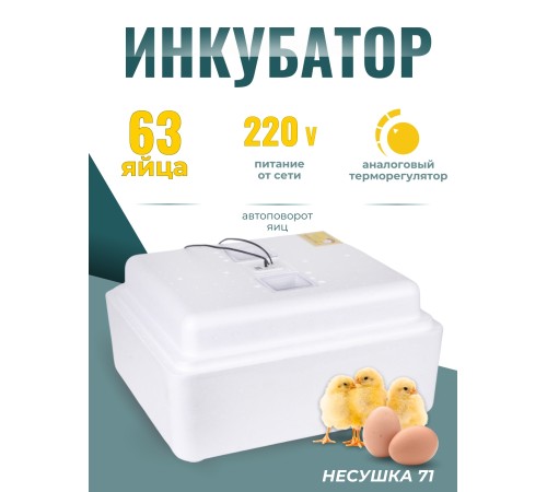 Инкубатор Несушка на 63 яйца 220В автоматический поворот, аналог. терморегулятор, цифр. индикатор температуры (арт.71)