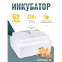 Инкубатор Несушка на 63 яйца 220В автоматический поворот, аналог. терморегулятор, цифр. индикатор температуры (арт.71)