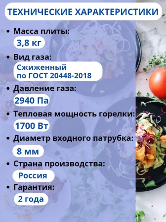 Плитка газовая Мечта-200М черная 2 конфорки
