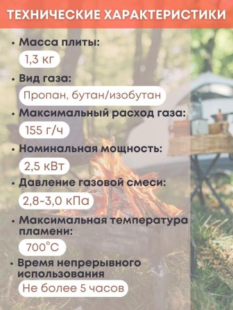 Плитка газовая ENERGY GS-400 походная, 2 типа газа, кейс