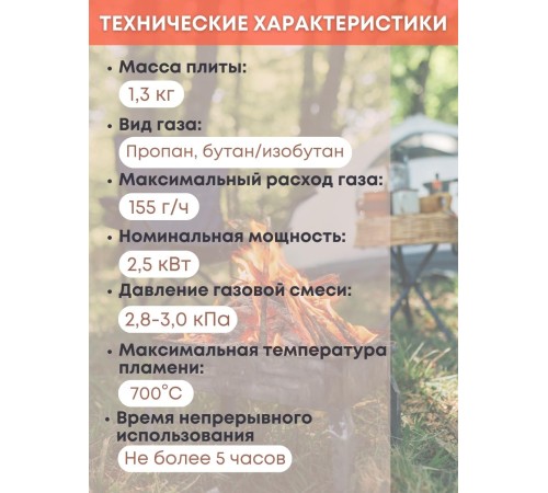 Плитка газовая ENERGY GS-400 походная, 2 типа газа, кейс