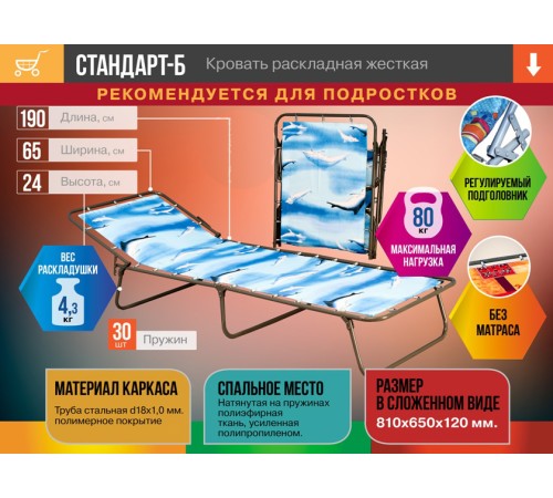 Раскладушка Стандарт-Б для детей и подростков, 195х65 см Раскладушка Стандарт-Б для детей и подростков, 195х65 см