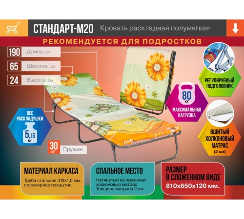 Раскладушка с полумягким матрасом Стандарт-М20, для детей и подростков, 195х65 см