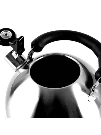 Чайник Добрыня DO-2903 нержавеющая сталь 2.5 л, свисток