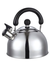 Чайник Добрыня DO-2903 нержавеющая сталь 2.5 л, свисток