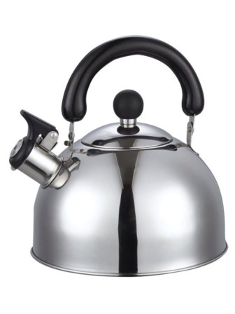 Чайник Добрыня DO-2902 нержавеющая сталь 3 л, свисток