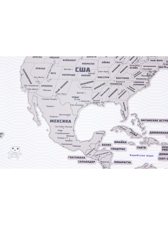 Большая скретч-карта мира True Map Plus Silver