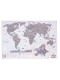 Большая скретч-карта мира True Map Plus Silver