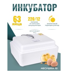 Инкубатор куриных яиц домашний Несушка на 63 яйца с автоматическим поворотом (артикул 75)