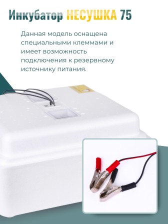 Инкубатор куриных яиц домашний Несушка на 63 яйца с автоматическим поворотом (артикул 75)