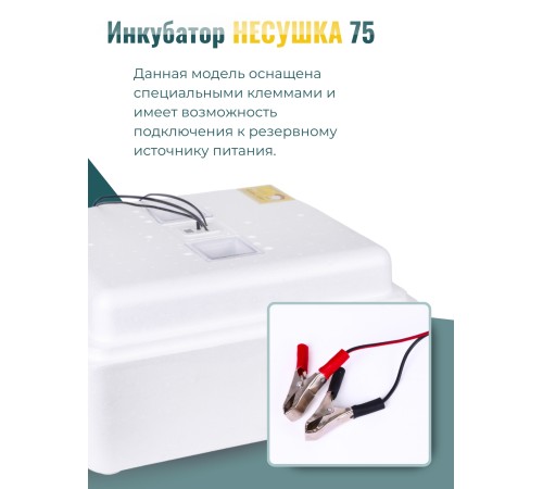 Инкубатор куриных яиц домашний Несушка на 63 яйца с автоматическим поворотом (артикул 75) Инкубатор куриных яиц домашний Несушка на 63 яйца с автоматическим поворотом (артикул 75)