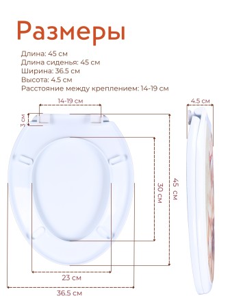 Сиденье для унитаза жесткое ДЕКОР Ракушка РП-813Р