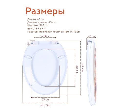 Сиденье для унитаза жесткое ДЕКОР Ракушка РП-813Р