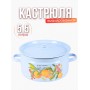 Кастрюля эмалированная 5.5 л Фруктовая фантазия С-1617/4Рб