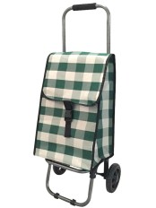 Тележка-сумка Рыжий кот D203 Green 37х27х92 см