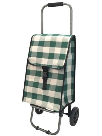 Тележка-сумка Рыжий кот D203 Green 37х27х92 см