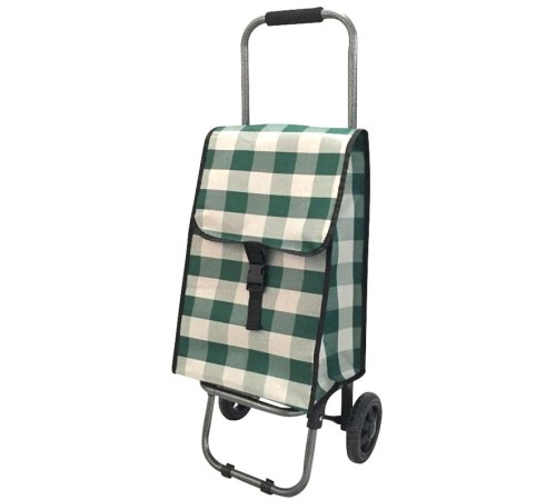 Тележка-сумка Рыжий кот D203 Green 37х27х92 см