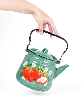 Чайник эмалированный  3,5 л, Стальэмаль 1с26с, Клубника садовая изумрудный