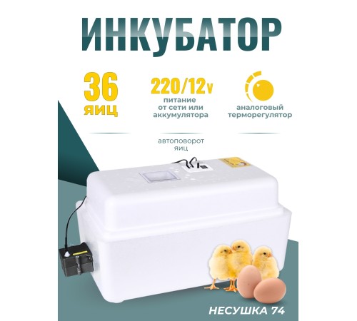 Инкубатор Несушка на 36 яиц 220/12В (артикул 74)