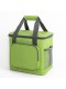 Сумка холодильник изотермическая Green Glade T1062, 20 л