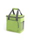 Сумка холодильник изотермическая Green Glade T1062, 20 л