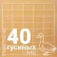 Решетка гусиная №5 на 40 ячеек для инкубатора Несушка 63