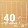 Решетка гусиная №5 на 40 ячеек для инкубатора Несушка 63