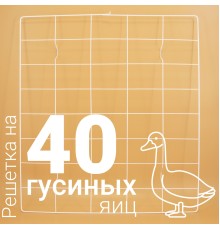 Решетка гусиная 40 ячеек №12 для Несушка 77