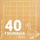 Решетка гусиная 40 ячеек №12 для Несушка 77