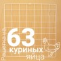 Решетка куриная №4 для Несушка 63 (63 ячейки)