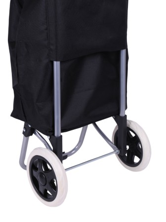 Тележка хозяйственная ручная с сумкой Рыжий кот WR3030 "Бриз"