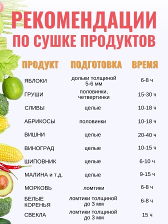 Сушилка Суховей М5 для овощей и фруктов (электросушилка 5 поддонов)