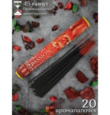 Благовония (ароматические палочки) HEM Passion (Страсть) 20 шт. в упаковке -шестигранник