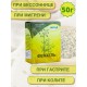 Фенхель семена "Авита" 50 г х 2 шт. (от кашля, коклюша, при бронхите, болезнях печени, почек)