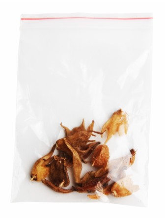 Ятрышник "Авита" 10 г х 2 шт. (при импотенции, нервных заболеваниях)