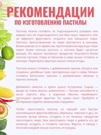 Комплект лотков к электросушилке БелОМО для сушки овощей и пастилы 3 шт.