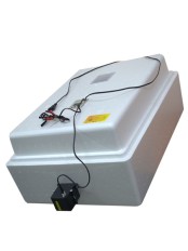 Инкубатор домашний Несушка на 77 яиц с автоматическим поворотом, цифровым терморегулятором с гигрометром (артикул 59г)