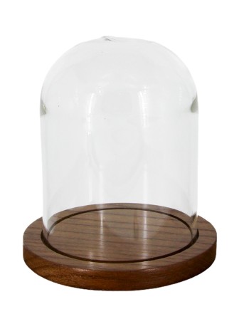 Cтеклянный колпак (клош) на деревянной подставке, цвет орех