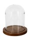 Cтеклянный колпак (клош) на деревянной подставке, цвет орех