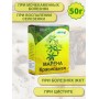 Марена красильная корень "Авита" 50 г. х 2 шт.