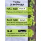 Укрывной материал Спанбонд 17 Премиум 3,2х10 м,17 г/м.кв
